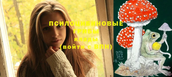меф Медногорск