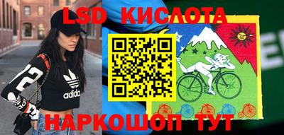 дмт Камышлов