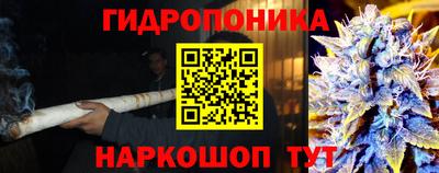 бошки Кандалакша