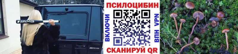 Галлюциногенные грибы ЛСД  KRAKEN зеркало  Москва 
