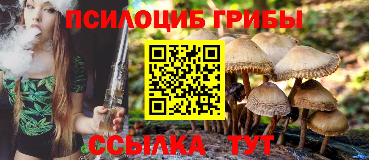 Москва  Псилоцибиновые грибы Psilocybe  Вход с VPN 