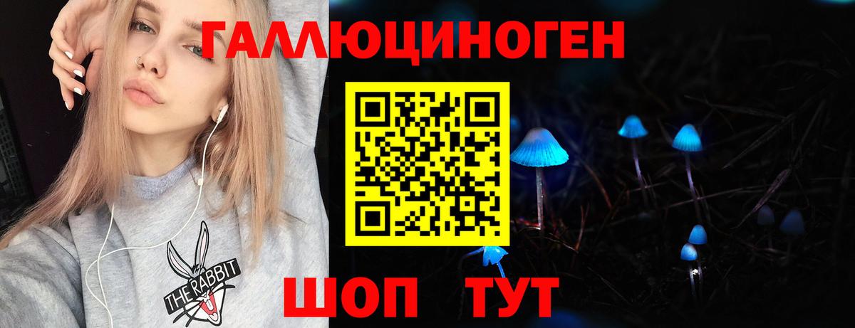 Псилоцибиновые грибы Cubensis Москва